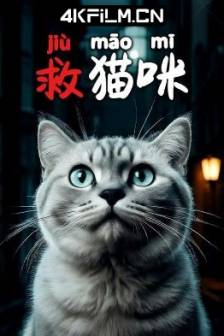 救猫咪 (2025)meet the cat / 中国大陆 / 剧情 / 电影下载