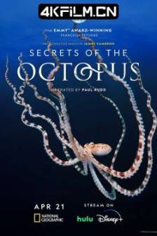 章鱼的秘密 Secrets of the Octopus (2024)章鱼之谜 / 美国 / 纪录片 / 冒险