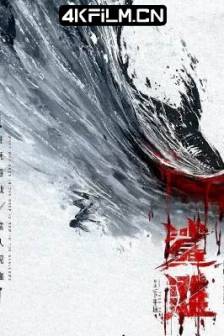 鲨滩 (2025)鲨滩中国版 / The Shallows / 中国大陆 / 4K电影下载