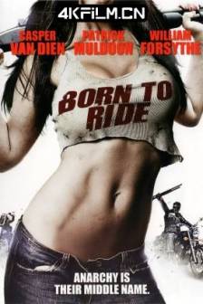 无敌车队 Born to Ride (2011)美国 / 动作 / 高清电影下载