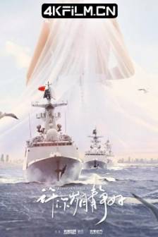 爱上海军蓝 (2025)许你岁月静好 / 中国大陆 / 剧情 / 爱情 / 4K影视剧下载