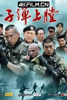 我是特种兵 (2011)子弹上膛 / 最后一颗子弹留给我 / 中国大陆 / 剧情 / 战争 / 高清影视网