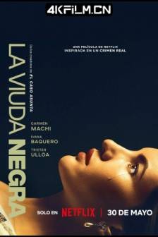 寡妇游戏 La viuda negra (2025)A Widow's Game / 西班牙 / 剧情 / 悬疑 / 犯罪电影下载