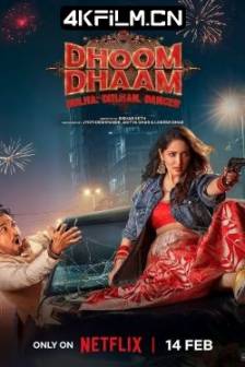 新婚乐逃逃 Dhoom Dhaam (2025)印度 / 喜剧 / 动作 / 爱情 / 高清电影
