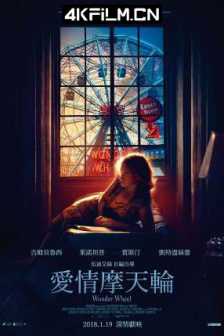 摩天轮 Wonder Wheel (2017) 奇幻摩天轮(港)/爱情摩天轮(台)/奇迹摩天轮