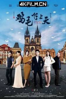 鸡毛飞上天 (2017)Feather Flies To The Sky / 中国大陆 / 剧情 / 高清视频网