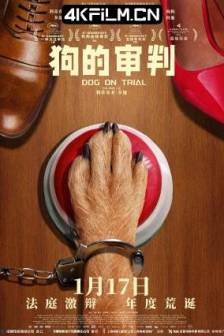 狗的审判 Le procès du chien (2024)狗狗打官司(港) / 被告汪星人(台) / The Dog’s Trial / Who Let The Dog Bite? / Dog on Trial / 瑞士 / 法国 / 喜剧 / 电影下载