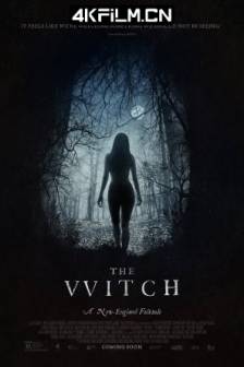 女巫 The VVitch: A New-England Folktale (2015)美国 / 英国 / 加拿大 / 巴西 / 恐怖电影下载