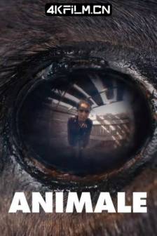 兽性 Animale (2024)法国 / 恐怖 / 高清电影