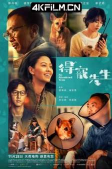 得宠先生 (2024)狗转人生 / An Abandoned Team / 中国香港 / 剧情 / 电影资源网站