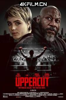 上钩拳 Uppercut (2025)德国 / 美国 / 剧情 / 惊悚 / 高清电影下载