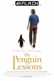 我的企鹅老师 The Penguin Lessons (2024)一只企鹅教我的事 / 企鹅课 / 英国 / 西班牙 / 剧情 / 4K电影