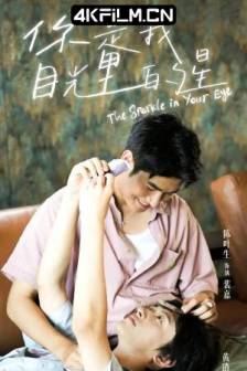 你是我目光里的星 (2025)The Sparkle In Your Eye / 新加坡 / 剧情 / 同性 / 影视下载网