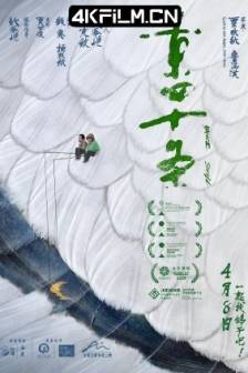 东四十条 (2023)Dance Still / 中国大陆 / 剧情 / 喜剧 / 4K电影下载