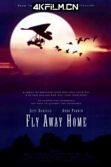 伴你高飞 Fly Away Home (1996) / 返家十万里 / 飞向故乡 / 回南 / 4K电影下载 / Fly.Away.Home.1996.2160p.AI-Upscaled.TrueHD.5.1-H265.DirtyHippie.rife4.9-60fps