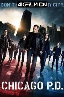 芝加哥警署 第1-12季 Chicago P.D. Season 1 (2014)美国 / 剧情 / 动作 / 4K影视剧资源