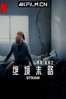绝境末路 Straw (2025)泰勒派瑞之绝境末路 / 美国 / 剧情 / 惊悚 / 4K高清电影下载